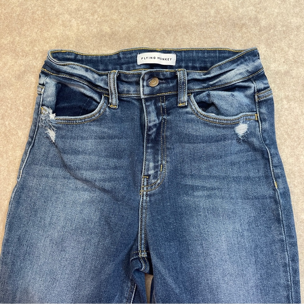 Flying Monkey - Picture 6 of 13